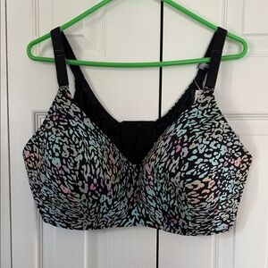 Torrid Multicolor Animal Print Bra